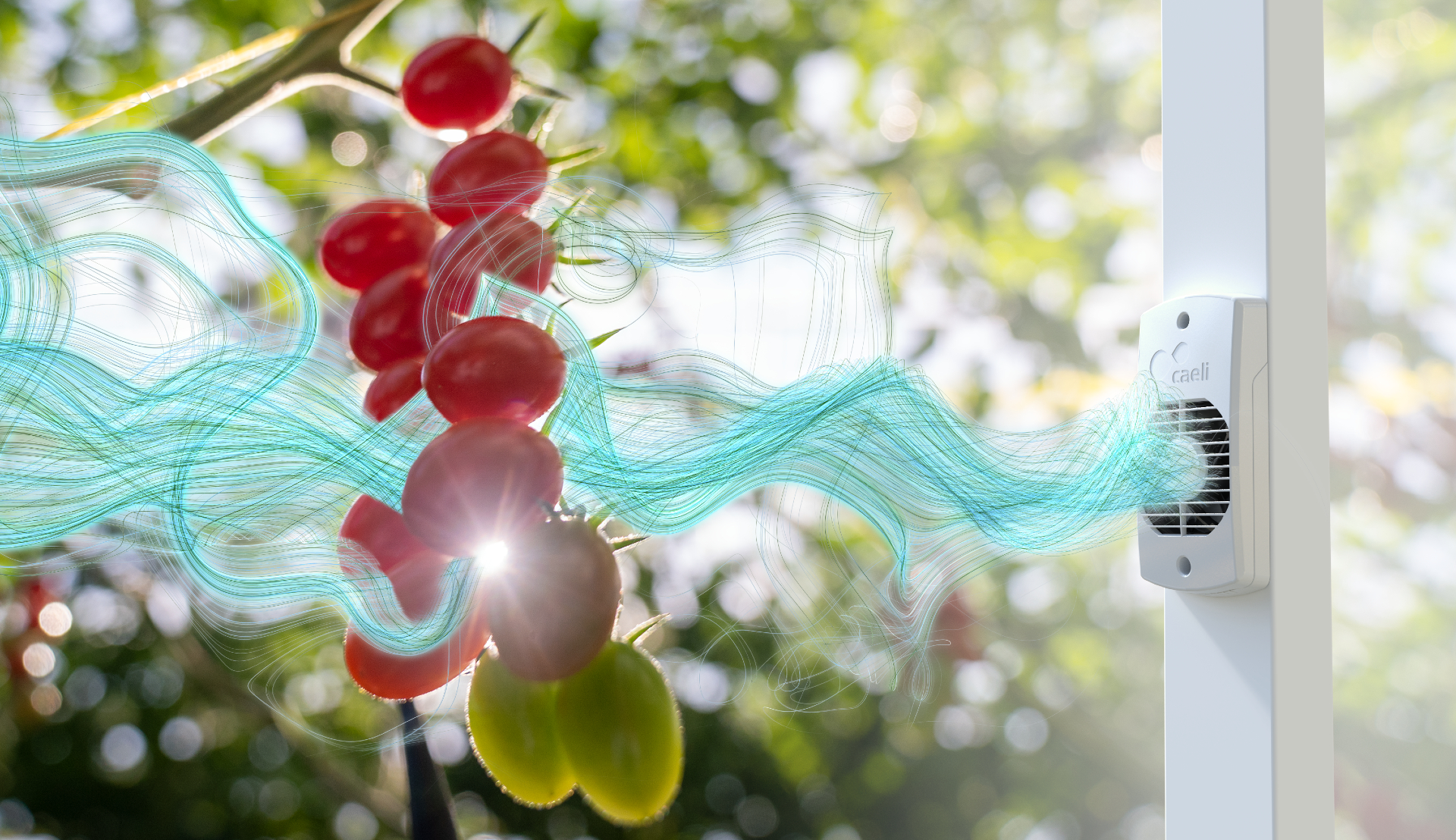 Integrated Caeli™ ventilator with airflow