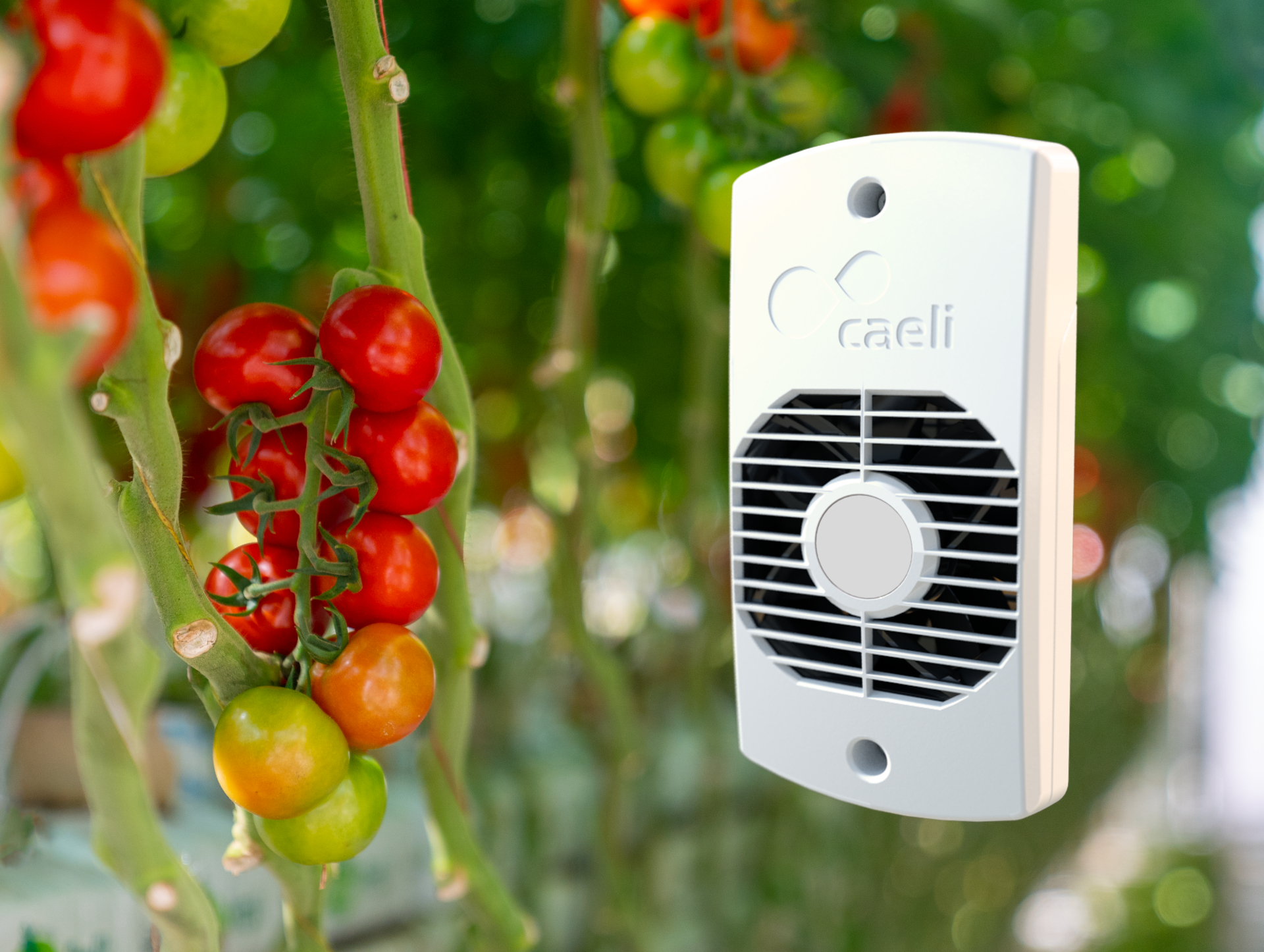 Caeli™ smart ventilator