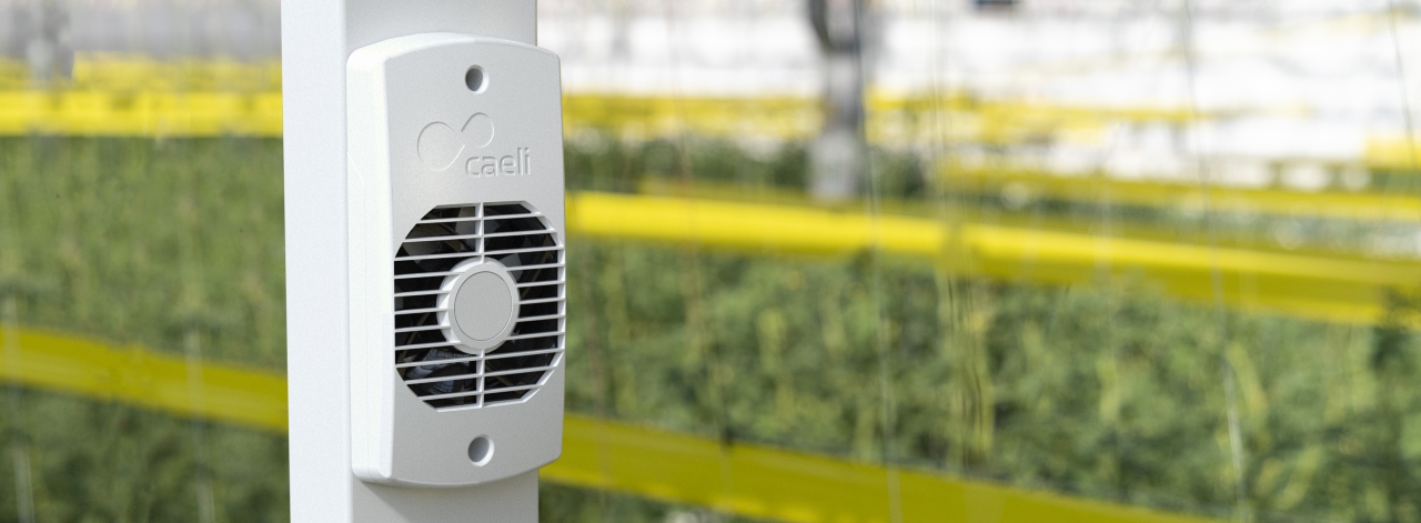 Caeli™ intgrated ventilator