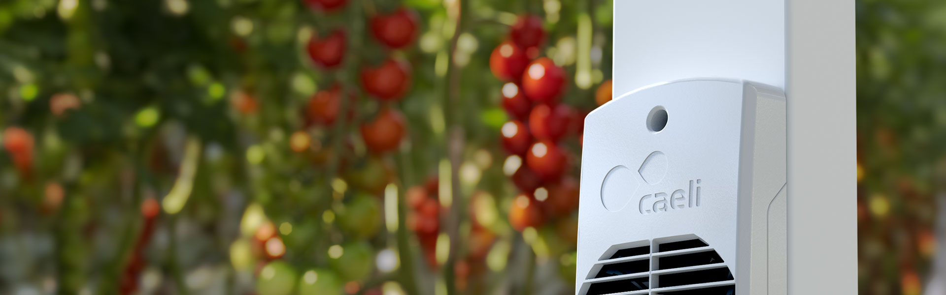 Caeli greenhouse climate solutions