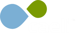 logo-caeli